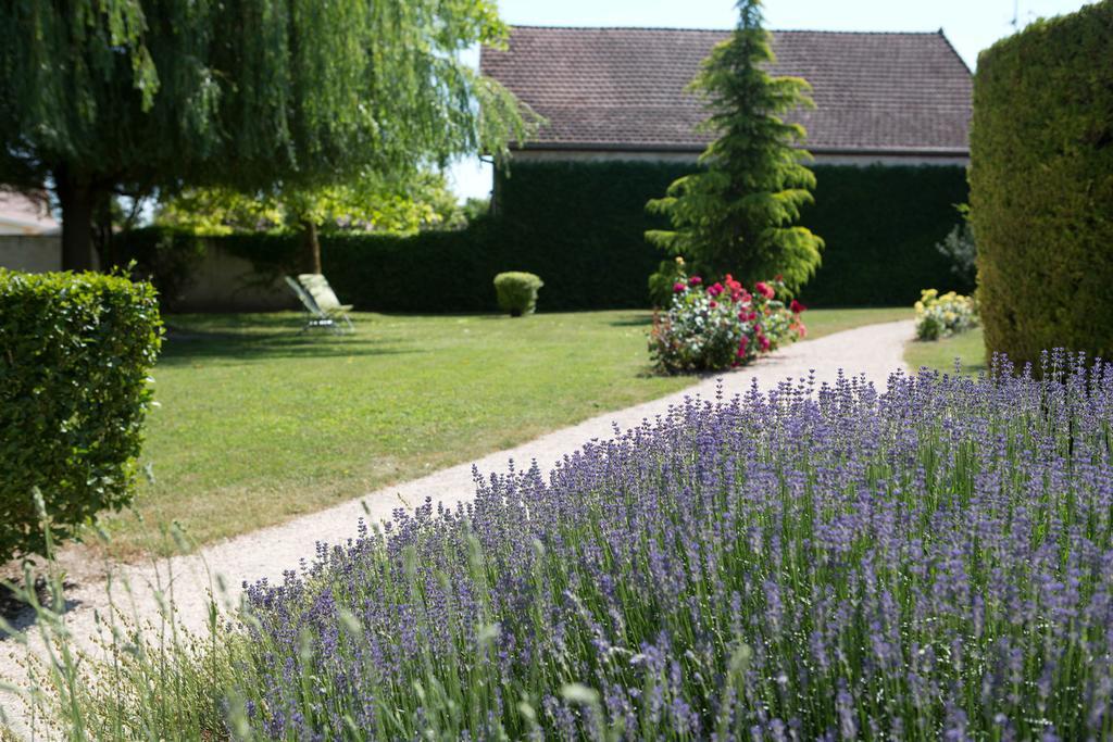 Hotel L'Oree Des Vignes Gilly-lès-Cîteaux Buitenkant foto