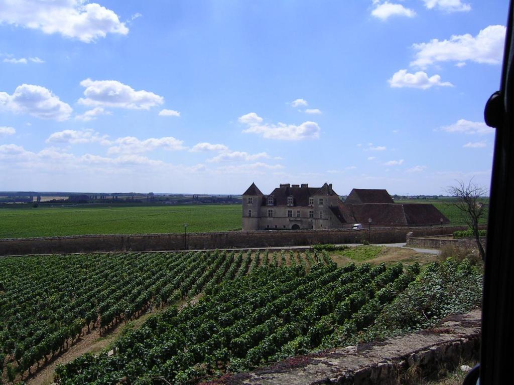Hotel L'Oree Des Vignes Gilly-lès-Cîteaux Buitenkant foto
